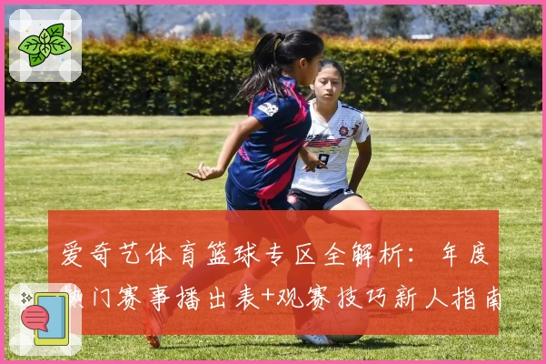 爱奇艺体育篮球专区全解析：年度热门赛事播出表+观赛技巧新人指南