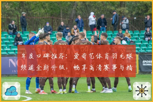 年度口碑推荐：爱奇艺体育羽毛球频道全新升级，畅享高清赛事与精彩解说