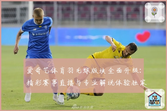 爱奇艺体育羽毛球版块全面升级:精彩赛事直播与专业解说体验独家解析